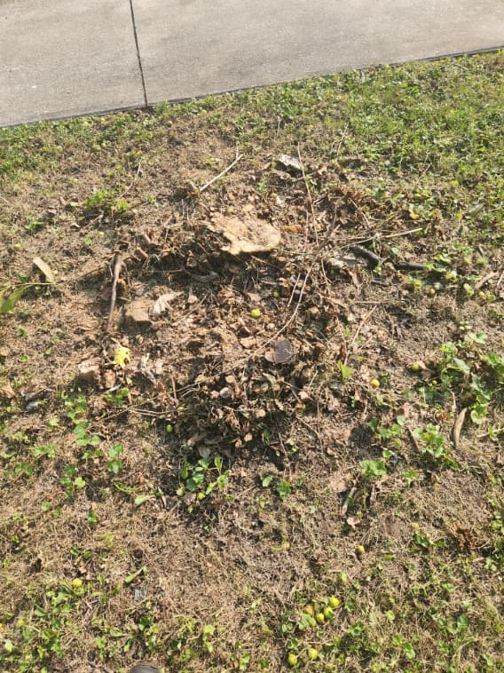 Fort Wayne Stump Grinding