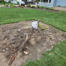 Stump Grinding Fort Wayne 0