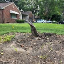 Stump Grinding Fort Wayne 1