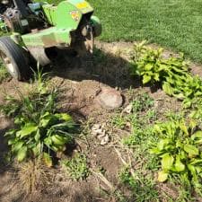 Stump Grinding Fort Wayne 4