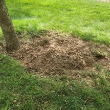 Stump Grinding in Monroeville, IN 1