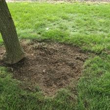 Stump Grinding in Monroeville, IN 4