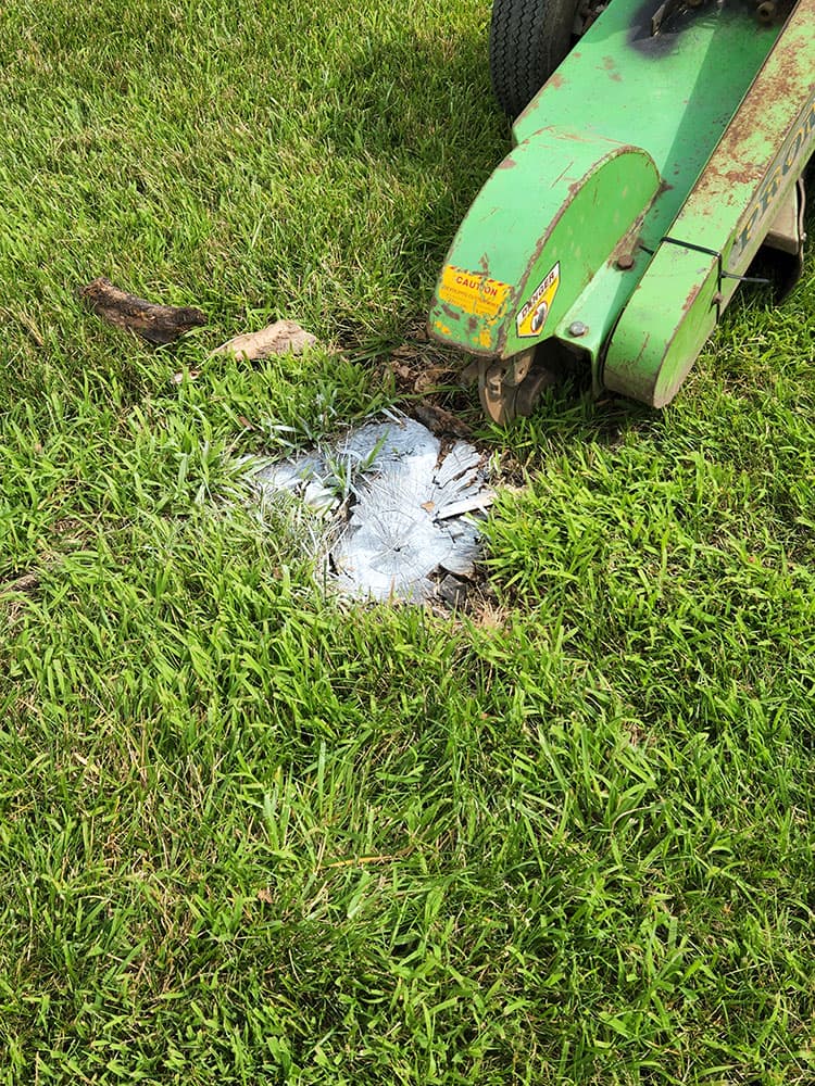 Stump Grinding in New Haven, IN