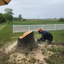 Stump Grinding Yoder 0