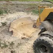 Stump Grinding Yoder 4