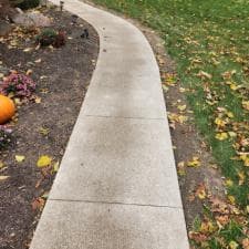 Surface Deck Roof Cleaning 2