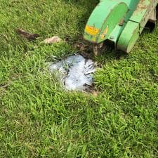 Stump Grinding in New Haven, IN 12