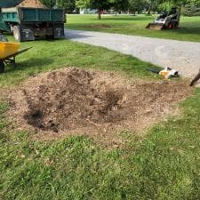 Stump Grinding in New Haven, IN 4