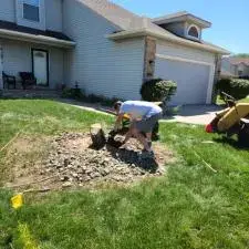 Tree and Stump Removal 4