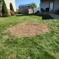 Tree and Stump Removal 8