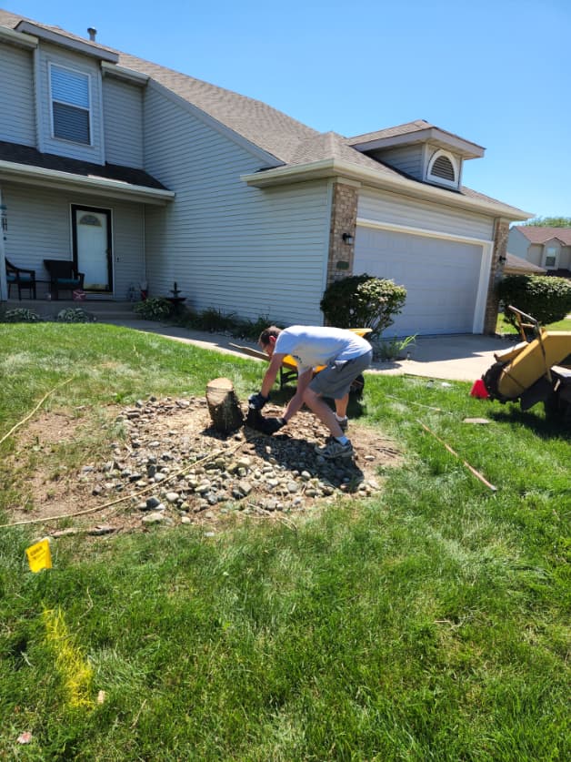 Tree and stump removal