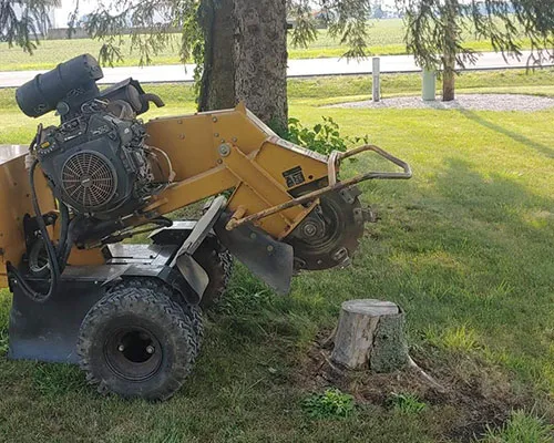 Stump Grinding in Spencerville, IN