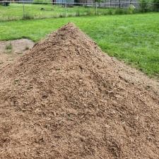 A-Successful-Stump-Grinding-Project-in-Fort-Wayne-IN 0