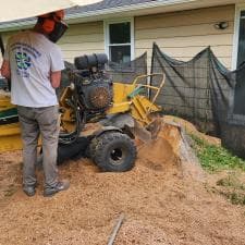 A-Successful-Stump-Grinding-Project-in-Fort-Wayne-IN 1