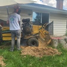 A-Successful-Stump-Grinding-Project-in-Fort-Wayne-IN 2