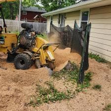 A-Successful-Stump-Grinding-Project-in-Fort-Wayne-IN 8