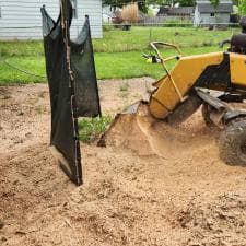 A-Successful-Stump-Grinding-Project-in-Fort-Wayne-IN 10