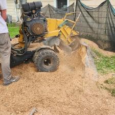 A-Successful-Stump-Grinding-Project-in-Fort-Wayne-IN 12