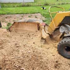 A-Successful-Stump-Grinding-Project-in-Fort-Wayne-IN 13