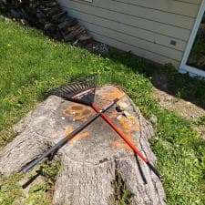 A-Successful-Stump-Grinding-Project-in-Fort-Wayne-IN 16