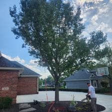 Best-Tree-Removal-Stump-Grinding-in-Fort-Wayne-IN 0