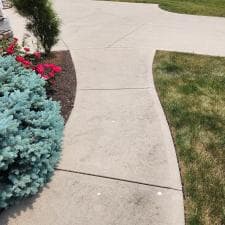 Expert-Surface-Cleaning-and-Stump-Grinding-in-Fort-Wayne-IN 0