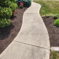 Expert-Surface-Cleaning-and-Stump-Grinding-in-Fort-Wayne-IN 1