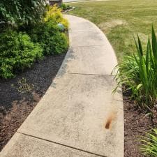 Expert-Surface-Cleaning-and-Stump-Grinding-in-Fort-Wayne-IN 3