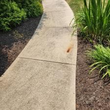 Expert-Surface-Cleaning-and-Stump-Grinding-in-Fort-Wayne-IN 4