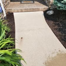 Expert-Surface-Cleaning-and-Stump-Grinding-in-Fort-Wayne-IN 6