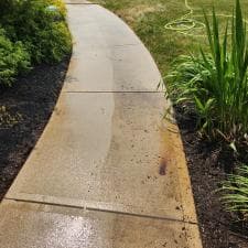 Expert-Surface-Cleaning-and-Stump-Grinding-in-Fort-Wayne-IN 7