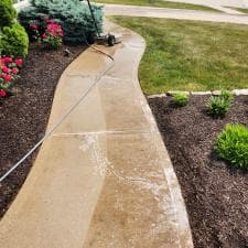 Expert-Surface-Cleaning-and-Stump-Grinding-in-Fort-Wayne-IN 8