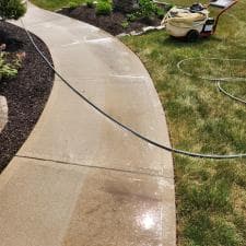 Expert-Surface-Cleaning-and-Stump-Grinding-in-Fort-Wayne-IN 9