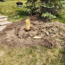 Expert-Surface-Cleaning-and-Stump-Grinding-in-Fort-Wayne-IN 10