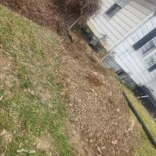 Grind-Shine-in-Action-Helping-Fort-Wayne-Indiana-Resident-MacKenzie-Reclaim-Her-Yard 3