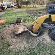 Grind-Shine-in-Action-Helping-Fort-Wayne-Indiana-Resident-MacKenzie-Reclaim-Her-Yard 1