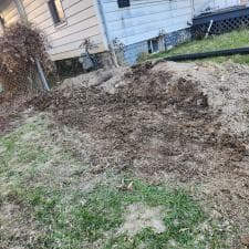 Grind-Shine-in-Action-Helping-Fort-Wayne-Indiana-Resident-MacKenzie-Reclaim-Her-Yard 4