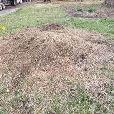 Grind-Shine-in-Action-Helping-Fort-Wayne-Indiana-Resident-MacKenzie-Reclaim-Her-Yard 2