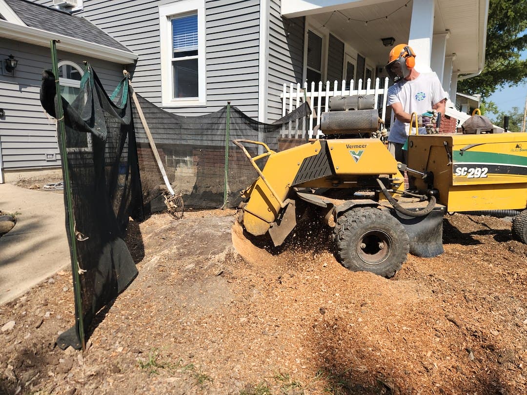 Professional Stump Grinding and Yard Cleanup in Hoagland, IN – Grind & Shine LLC