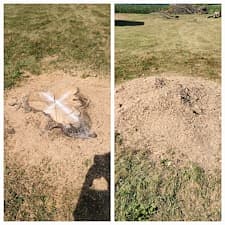 Professional-Stump-Grinding-and-Yard-Cleanup-in-Hoagland-IN-Grind-Shine-LLC 1