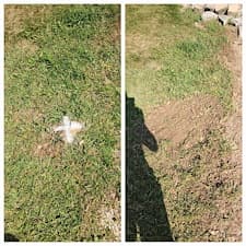 Professional-Stump-Grinding-and-Yard-Cleanup-in-Hoagland-IN-Grind-Shine-LLC 3