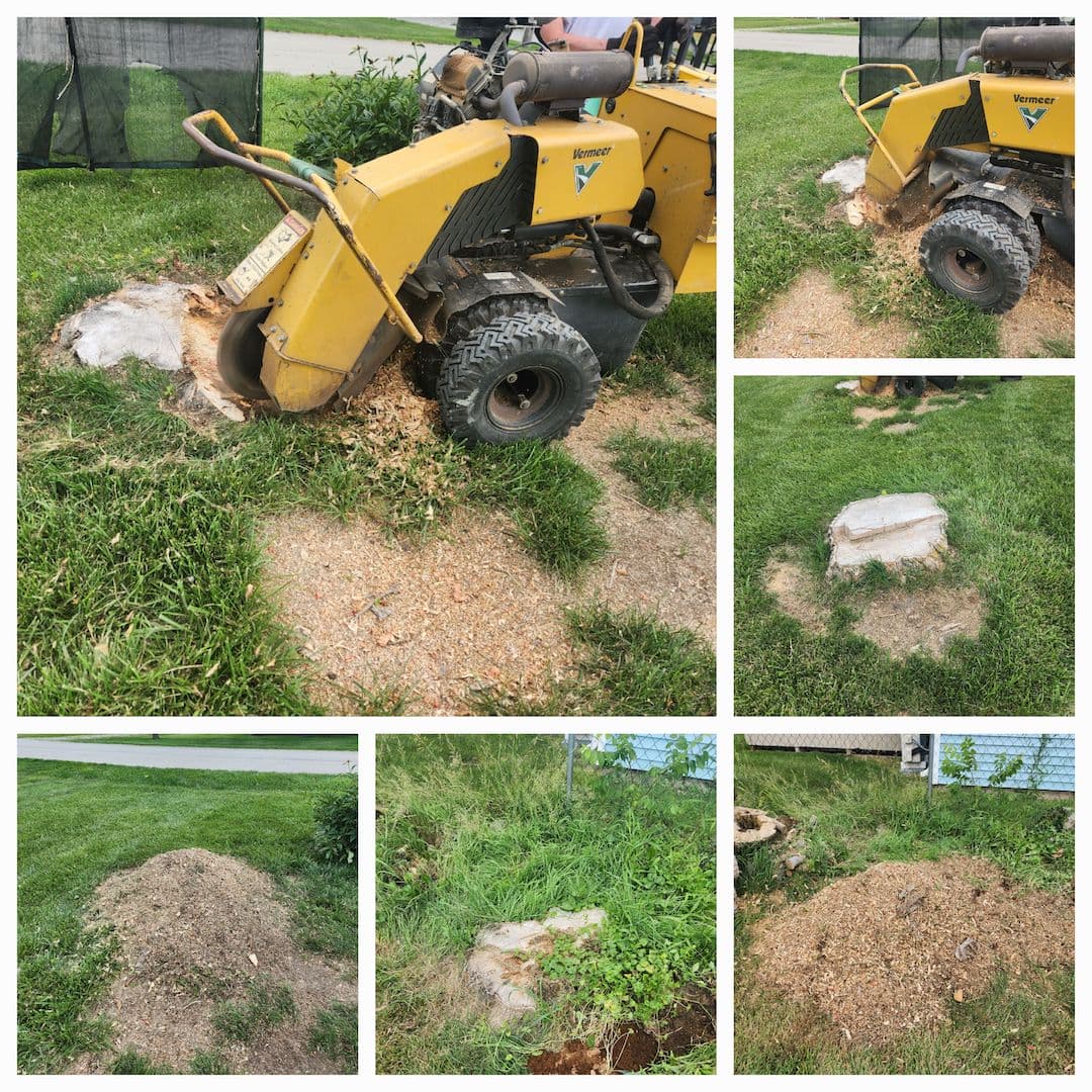 Quality Stump Grinding in Fort Wayne, IN 46825