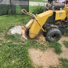 Quality-Stump-Grinding-in-Fort-Wayne-IN-46825 0