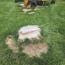 Quality-Stump-Grinding-in-Fort-Wayne-IN-46825 2