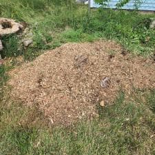 Quality-Stump-Grinding-in-Fort-Wayne-IN-46825 3