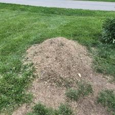 Quality-Stump-Grinding-in-Fort-Wayne-IN-46825 4