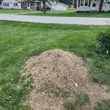 Quality-Stump-Grinding-in-Fort-Wayne-IN-46825 5