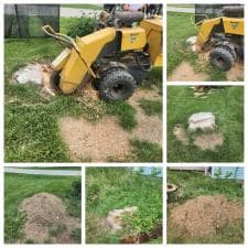 Quality-Stump-Grinding-in-Fort-Wayne-IN-46825 6