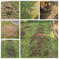 Stump-Grinding-in-Fort-Wayne-IN-1 0