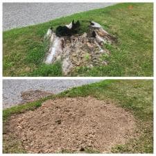 Stump-Grinding-in-Monroeville-IN-1 0